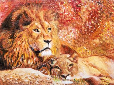 Lions. Oil, 2013